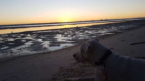 Photo: Sylvan Beach dog spot